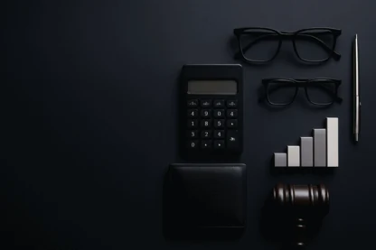 Previous Article Image