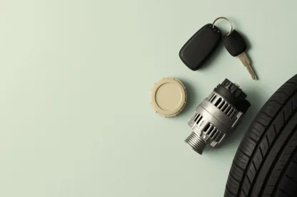 Previous Article Image