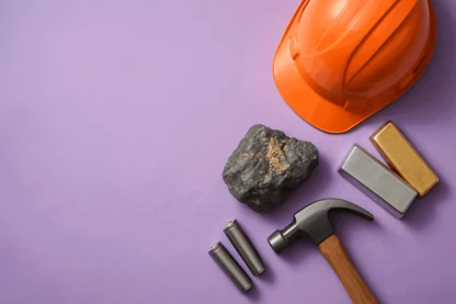 Previous Article Image