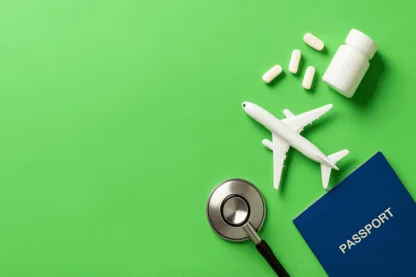 Previous Article Image