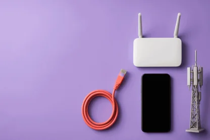 Previous Article Image