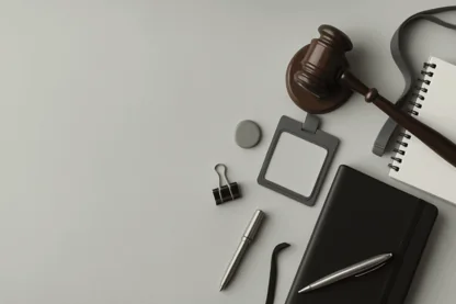 Previous Article Image