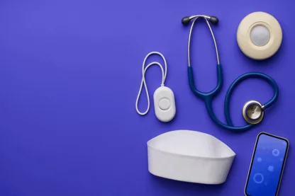 Previous Article Image