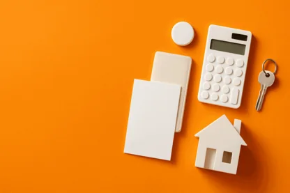 Previous Article Image