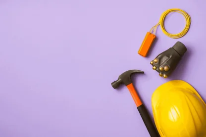 Previous Article Image