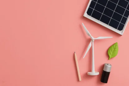 Previous Article Image