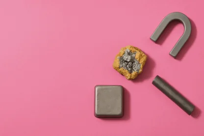 Previous Article Image