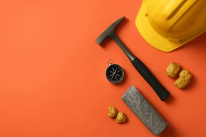 Previous Article Image