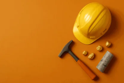 Previous Article Image