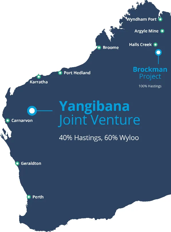 Yangibana Rare Earths and Niobium Project location