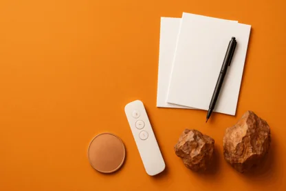 Previous Article Image