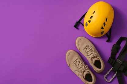 Previous Article Image