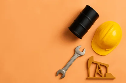 Previous Article Image