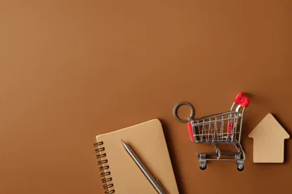 Previous Article Image