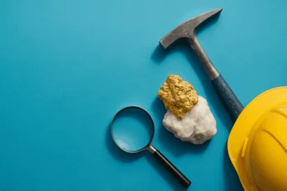 Previous Article Image