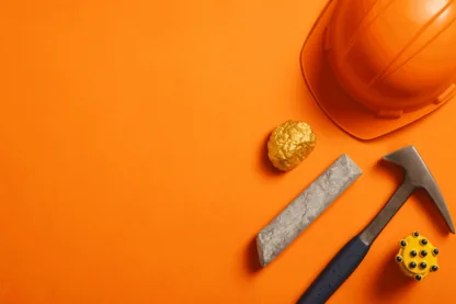 Previous Article Image