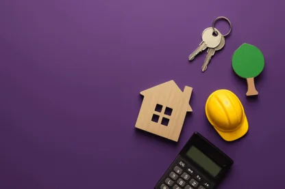 Previous Article Image