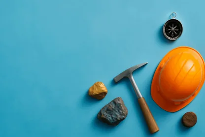 Previous Article Image