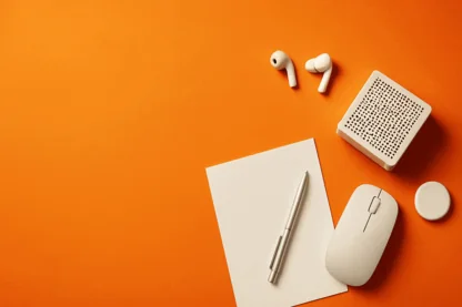 Previous Article Image