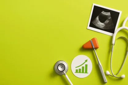 Previous Article Image