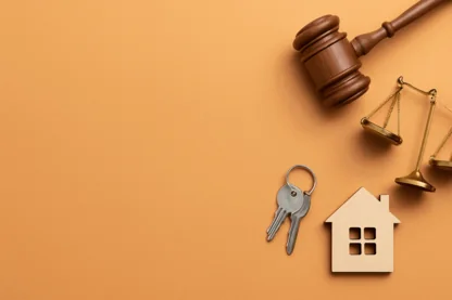 Previous Article Image