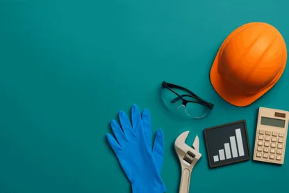 Previous Article Image