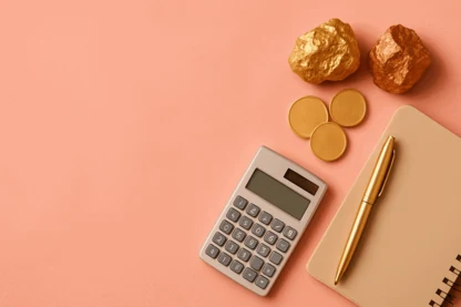 Previous Article Image