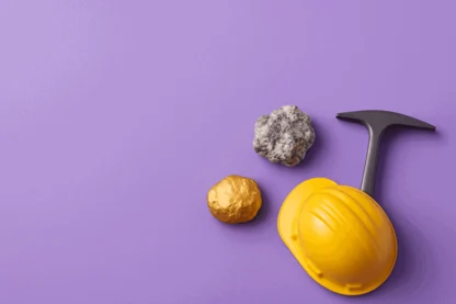 Previous Article Image