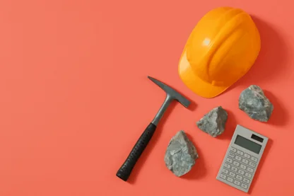 Previous Article Image