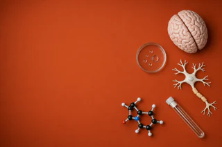 Invex Therapeutics Reports $1.35M Loss as Alzheimer’s Research Intensifies
