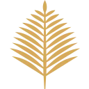 AAU logo