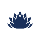 Arika Resources (ASX:ARI) logo