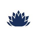 ARI logo