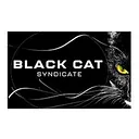 Black Cat Syndicate (ASX:BC8) logo