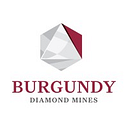 Burgundy Diamond Mines (ASX:BDM) logo