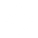 Botanix Pharmaceuticals (ASX:BOT) logo