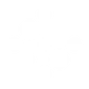 BOT logo