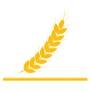 DBF logo