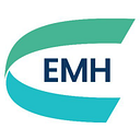 European Metals Holdings (ASX:EMH) logo