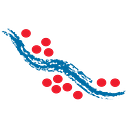 Laramide Resources (ASX:LAM) logo