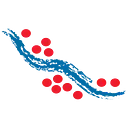 LAM logo