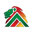 Lion Rock Minerals (ASX:LRM) logo