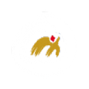 Middle Island Resources (ASX:MDI) logo