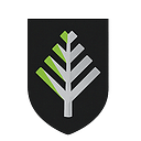 Norfolk Metals (ASX:NFL) logo