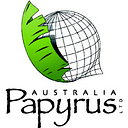 Papyrus Australia (ASX:PPY) logo