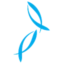 NZK logo
